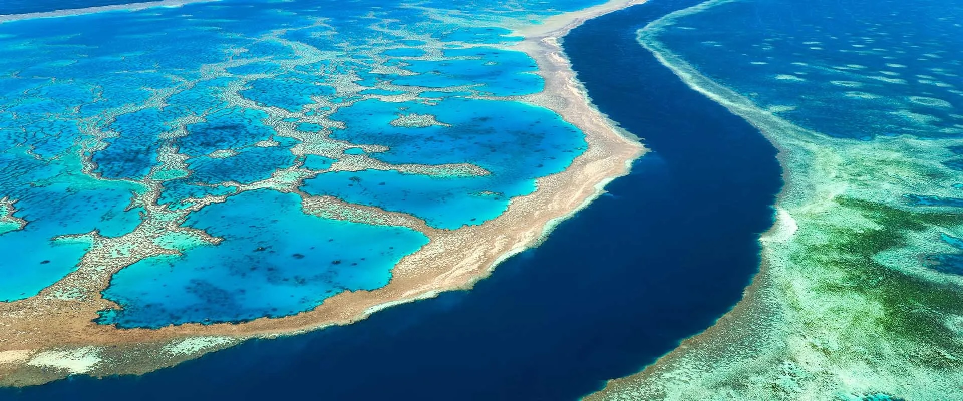Vue aérienne de la Grande Barrière de corail, Australie, illustrant la biodiversité marine.