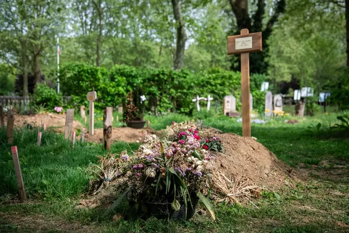 Tombe recouverte de terre et de fleurs dans un cimetière naturel, sans dalle ni monument, entourée de stèles en bois.