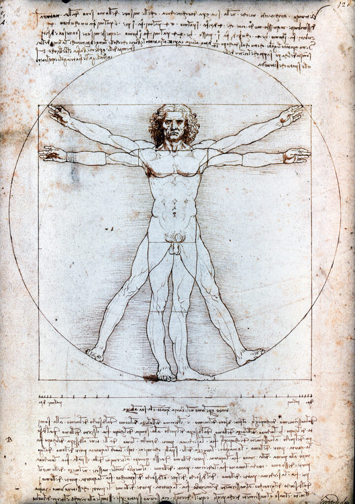 Homme de Vitruve de Léonard de Vinci, dessin emblématique des proportions humaines.